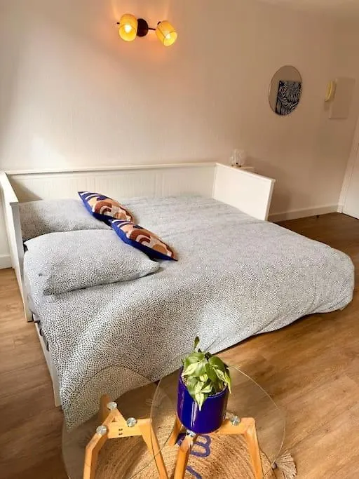 Studio Milos Cosy Hypercentre Historique Thonon צרפת
